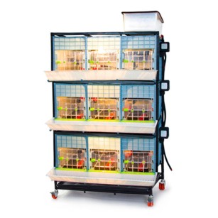 Poussinière 3 étages 40cm - Eggceterra Élevage Optimum