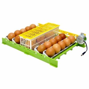 Plateau CNT30 & Adaptateur - Eggceterra Élevage