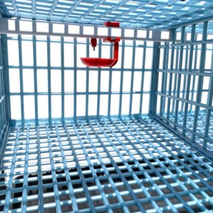 Cage 3 étages pour cailles pondeuses - Eggceterra