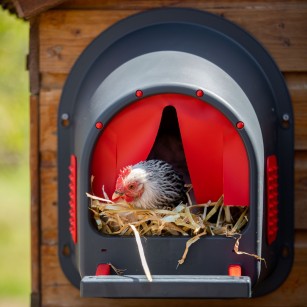 Pondoir MyCosyNest Vert - Confort pour vos Poules | Eggceterra