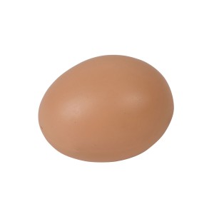 Œufs En Plastique 25 Pièces | Accessoires Élevage Eggceterra