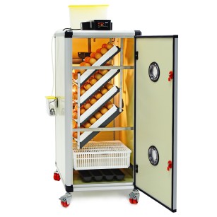 Couveuse automatique HB175C - Élevage facile Eggceterra
