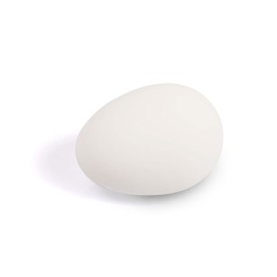 Œuf factice blanc en caoutchouc - Eggceterra élevage