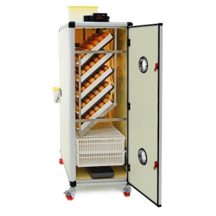 Couveuse Automatique HB500C - Performance et Fiabilité