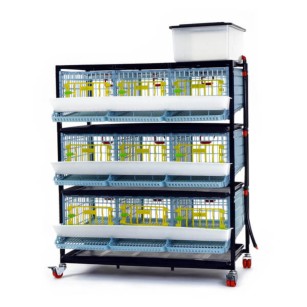 Cage caille Jumbo 3 étages - Eggceterra élevage optimal