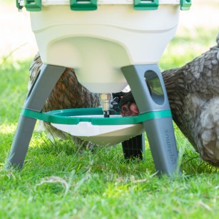 Abreuvoir Optimus pour poule et volaille grande capacité