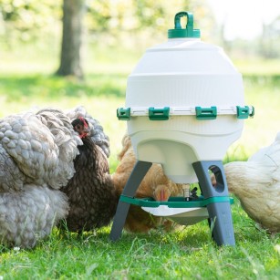 Abreuvoir Optimus pour poule et volaille grande capacité