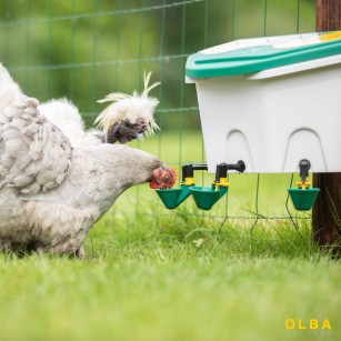 Abreuvoir automatique poule AviAqua 8 litres + godets à flotteur