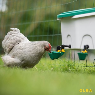 Abreuvoir automatique poule AviAqua 8 litres + godets à flotteur