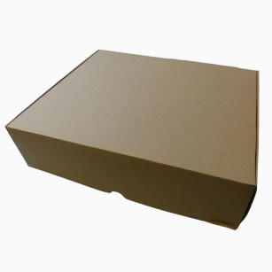 Lot de 5 boîtes pour 30 œufs prêtes à poster