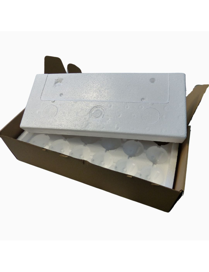 Lot de 10 boîtes pour 12 œufs prêtes à poster