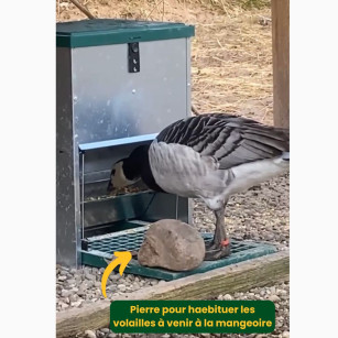Mangeoire à pédale 20 kg anti-rats | Eggceterra élevage