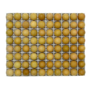 Plateau d'incubation 80 œufs | Eggceterra Élevage