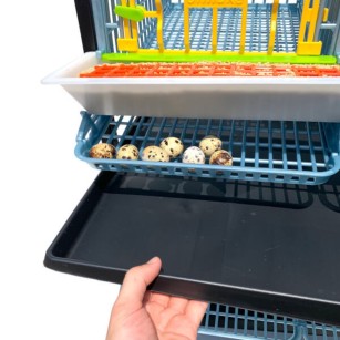 Cage 4 étages pour cailles pondeuses | Eggceterra