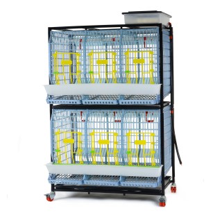 Cage Poule Pondeuse 2 Étages 60cm - Eggceterra
