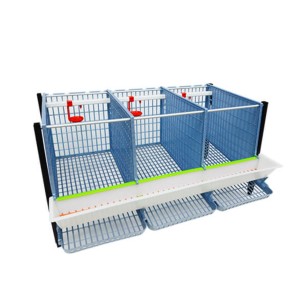 Cage 2 étages pour poules pondeuses - Eggceterra