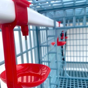 Cage de Croissance 1 Étage 40cm - Eggceterra Élevage