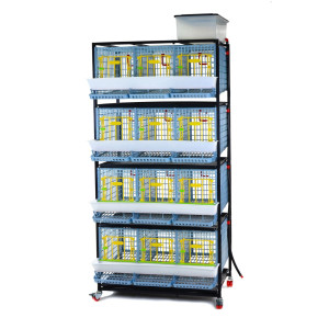 Cages d'élevage poules TYK40