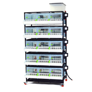 Cages poussins hauteur 25cm