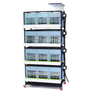 Cages poussins hauteur 40cm